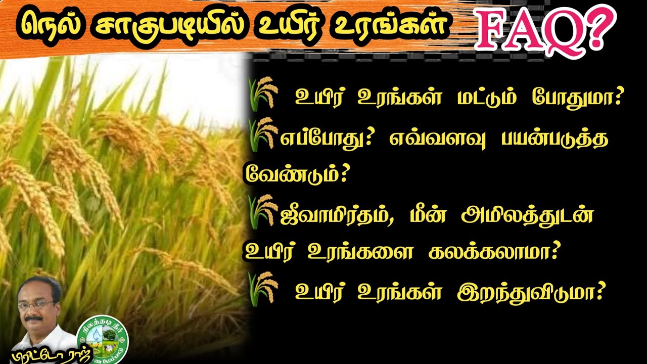 நெல் விவசாயத்தில் உயிர் உரங்கள் F.A.Q? Paddy Farming -  Bio Fertilizer Basics #Brittoraj