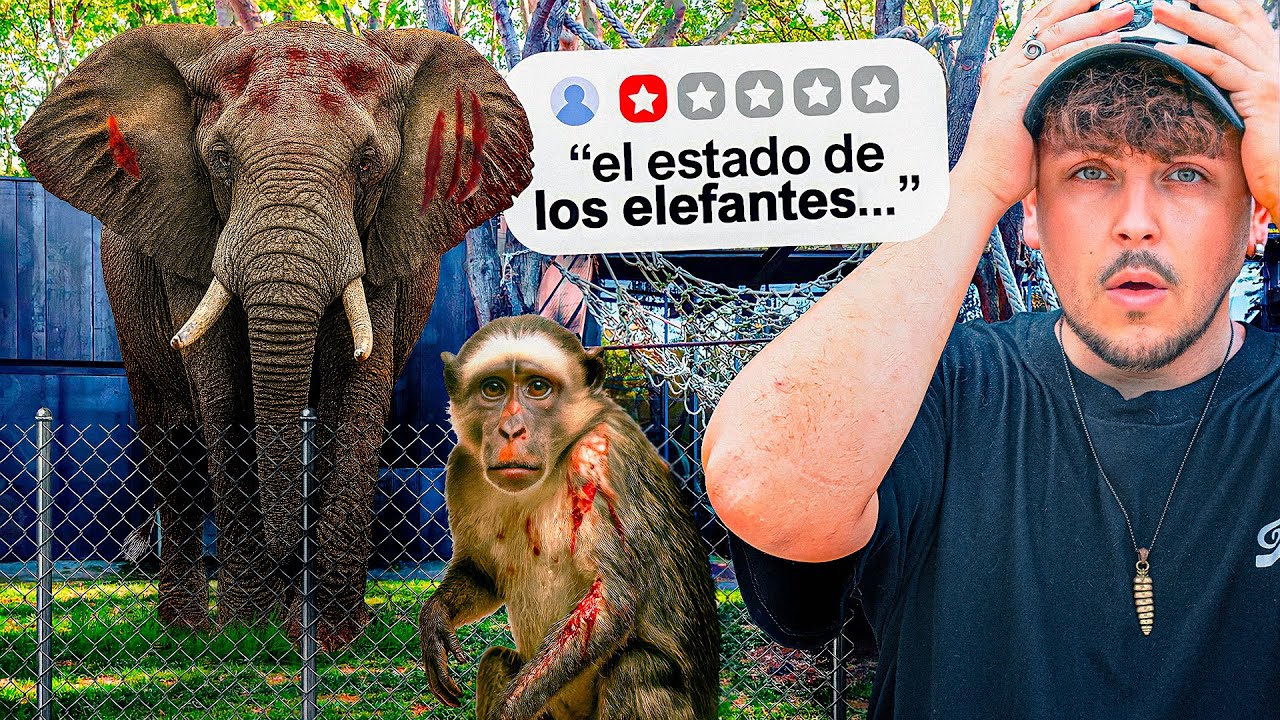 El Gran Problema del Zoo de Barcelona