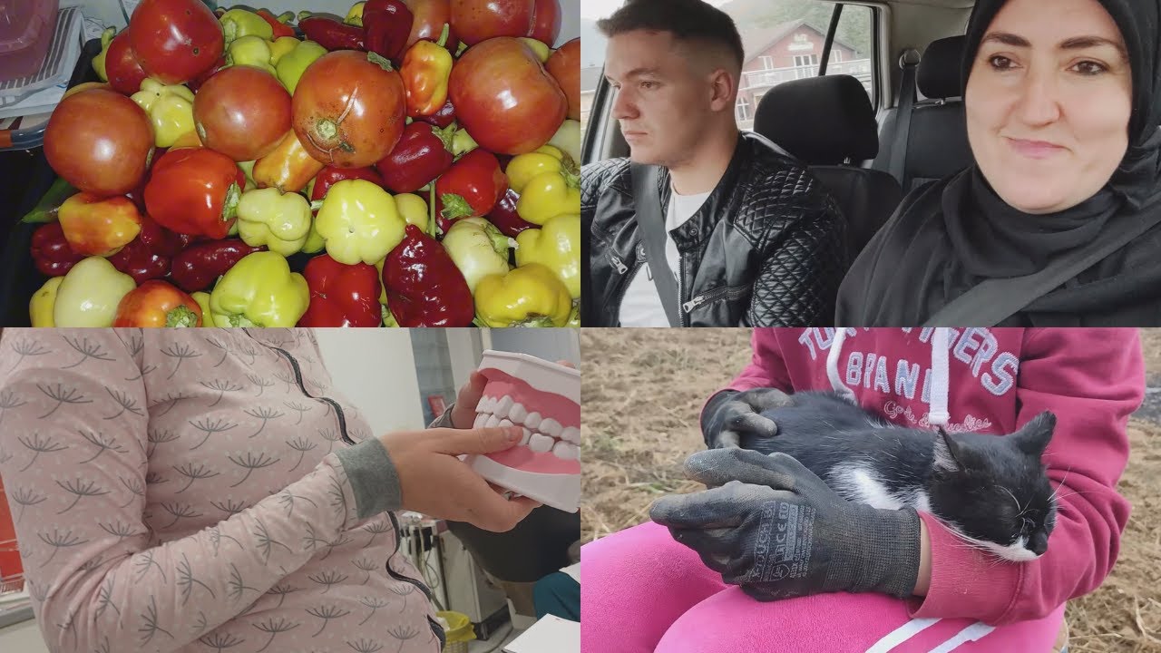 Posjeta stomatologu ali ne vadimo zube nego krompir ❤️🥔
