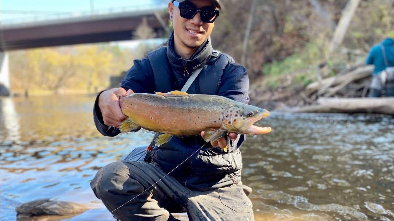Centerpin fishing for  beautiful Brown Trout