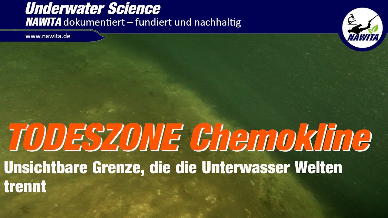 TODESZONE Chemokline:- NAWITA See-ID: 01 (NAWITA2025.04)