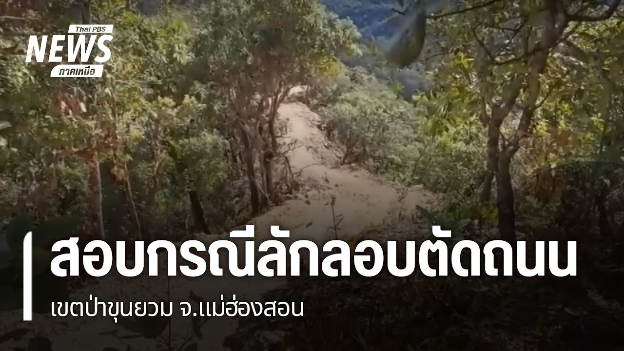 ตรวจสอบกรณีลักลอบตัดถนนในเขตป่าขุนยวม