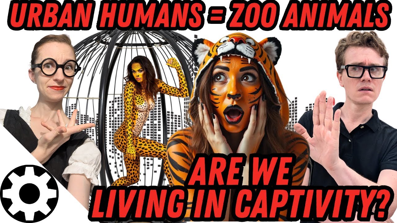 Humans Don't Breed in Captivity? (Urban Behavior Mirrors Zoo Animals, Zoochosis)