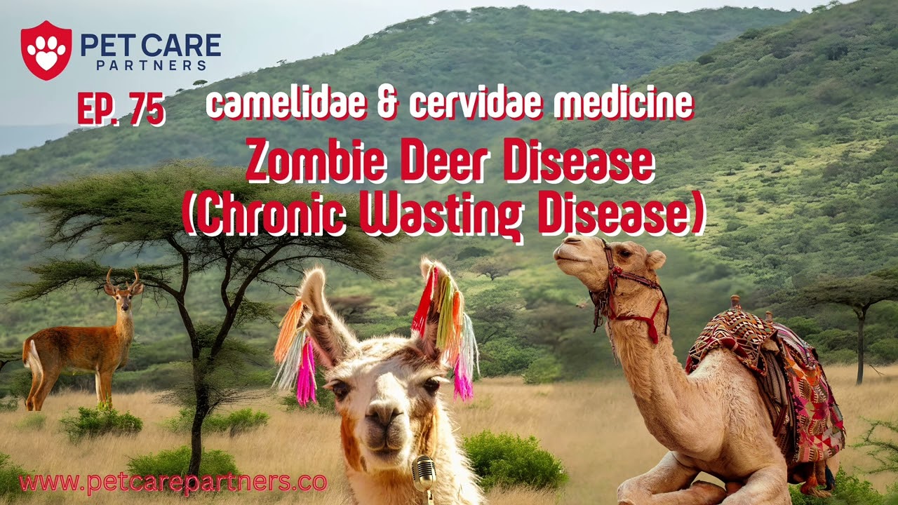 EP 75 | Zombie Deer Disease (Chronic Wasting Disease) in Camelidae & Cervidae