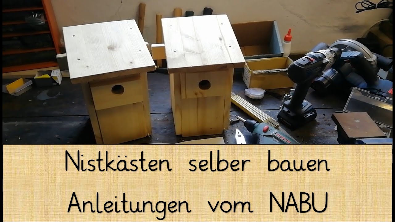 🐦 Nistkasten selber bauen - Anleitungen vom NABU 🐦