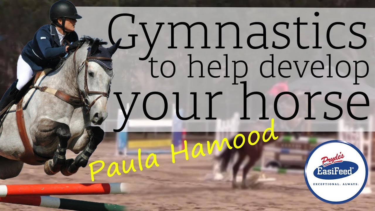 Simple Gymnastic Showjumping Exercises to Develop Straightness, Technique, Scope, Agility and Focus