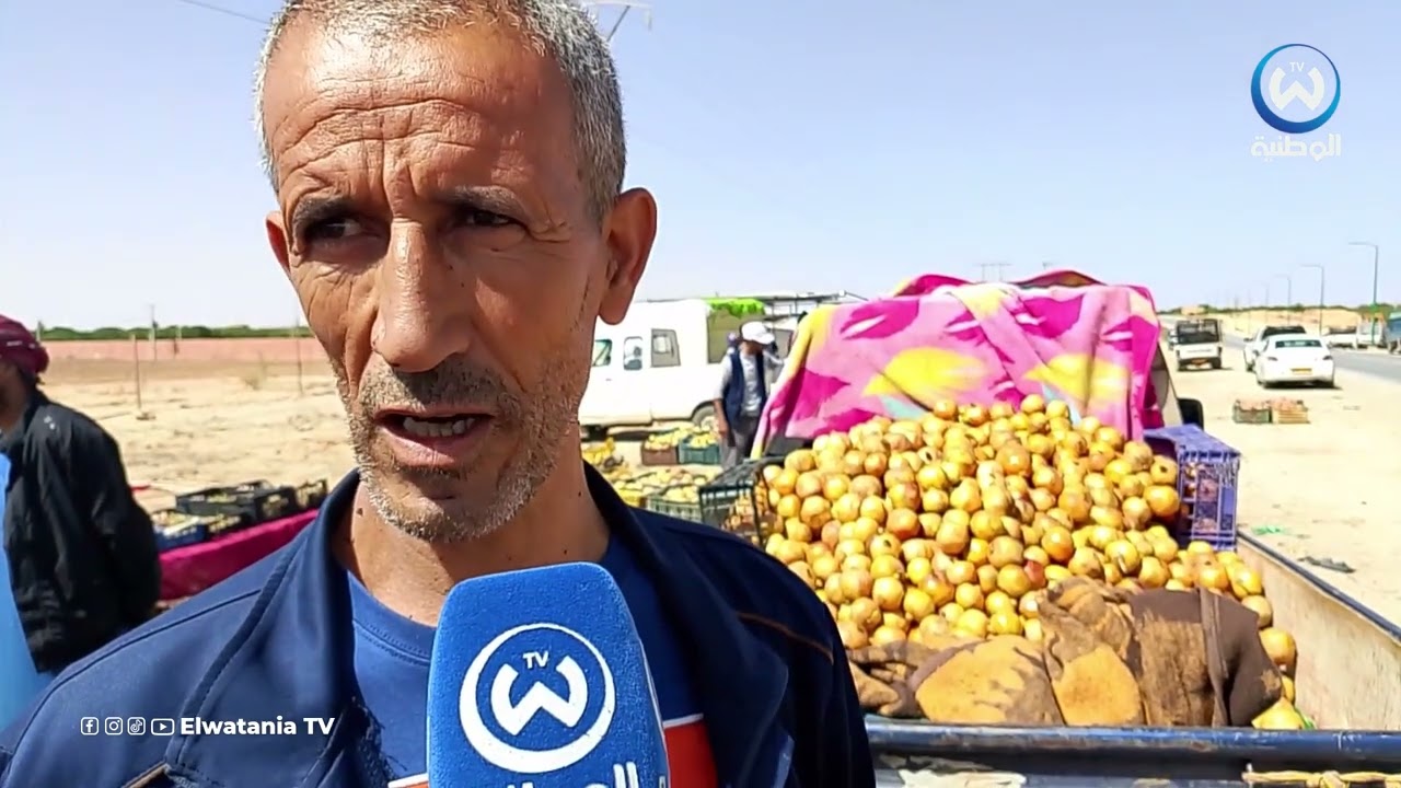 فاكهة الرمان بمسعد ولاية الجلفة..إنتاج وفير وفرص تسويق واعدة