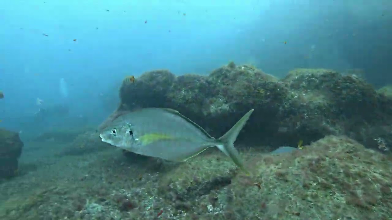 2026 02 27 EL HIERRO I
