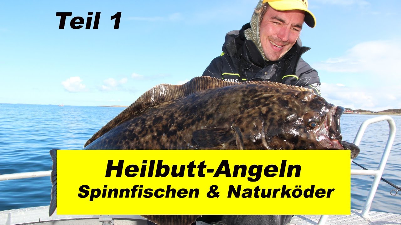 Heilbutt-Angeln in Norwegen Teil 1 (Spinnfischen & Naturköder im flachen Wasser) by Stefan Seuß