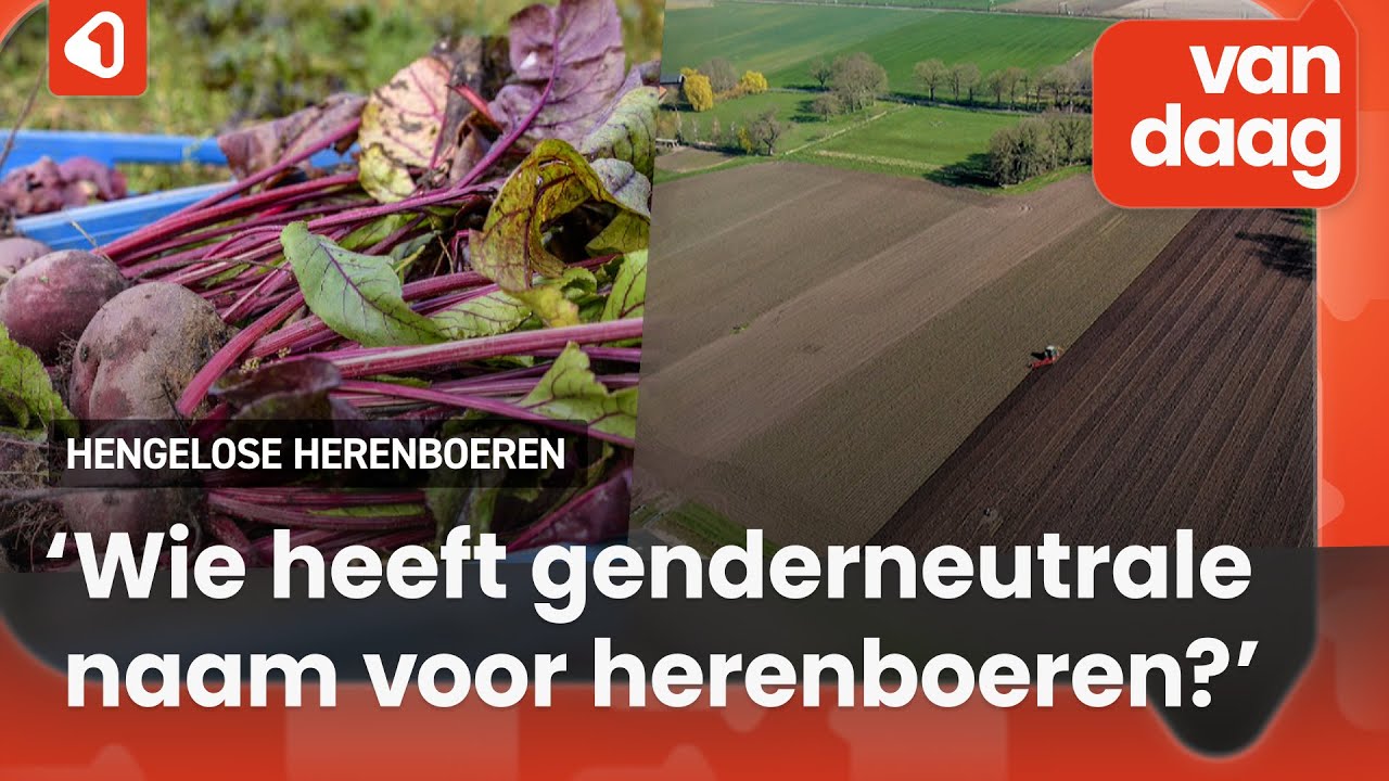 Hengelose herenboeren gaan boeren op de Zenderense Es