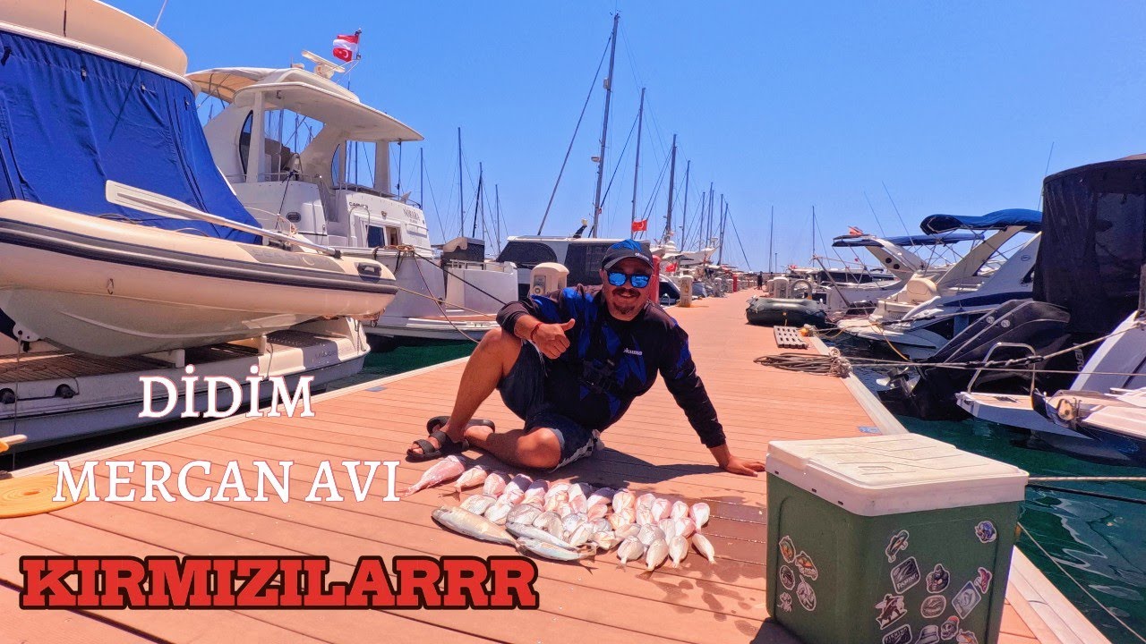 DİDİM MERCAN AVI  KIRMIZILAR DEV İSTAVRİTLER #art #fishing #food #keşfet #reels #fish #balık