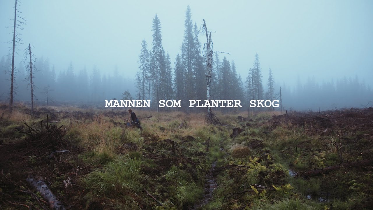 Thor Gotaas: Mannen som planter skog