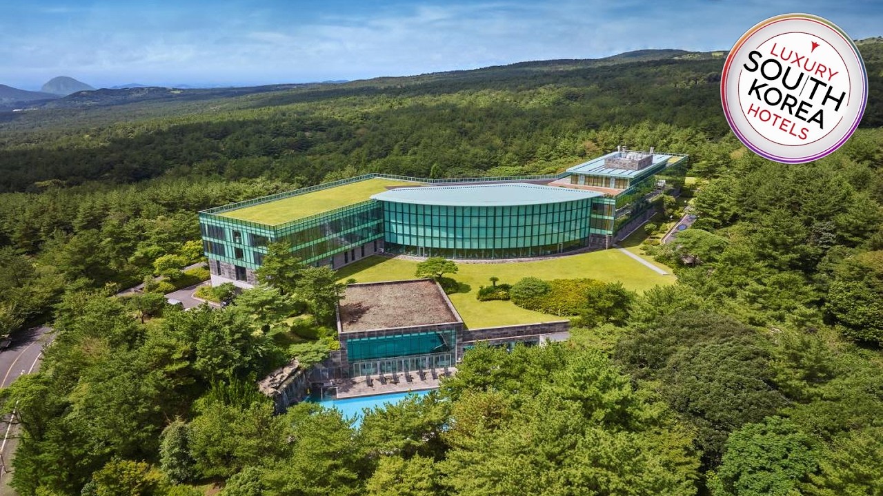 WE Hotel Jeju | Jeju, South Korea | Hotel Review 🏨