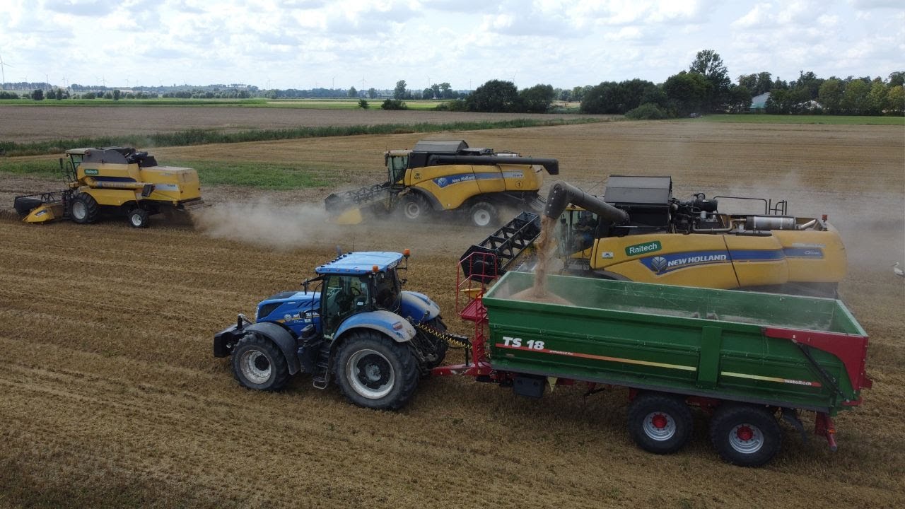 ŻNIWA 2024!/ PSZENICA POD KOSE NA 3 KOMBAJNY!/ NEW HOLLAND & CLAAS & FENDT