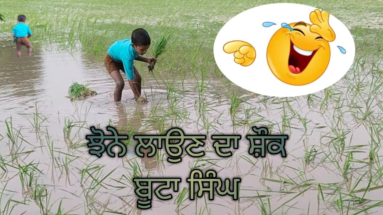 Boota Singh 😂 ਝੋਨਾ ਲਾਉਣ ਦਾ ਸ਼ੌਕ ਸੀ ਅੱਜ ਪੂਰਾ ਕਰ ਦਿੱਤਾ ❤️