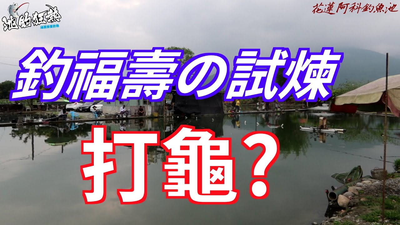 【釣福壽魚試煉】花蓮阿科釣魚池釣遊分享，最高殿堂的釣魚試煉，好山好水的風景，鯉魚潭旁優雅風情民宿推薦!