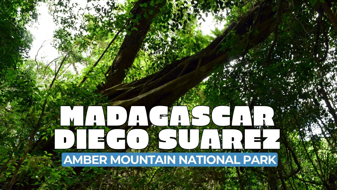 Diego Suarez – Amber Mountain National Park (Costa Victoria Excursion)