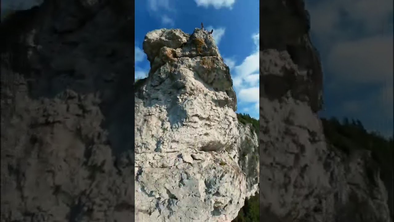 Tied my gopro to a fishing rod and sent it over a huge cliff. Surprised with the results  #360camera