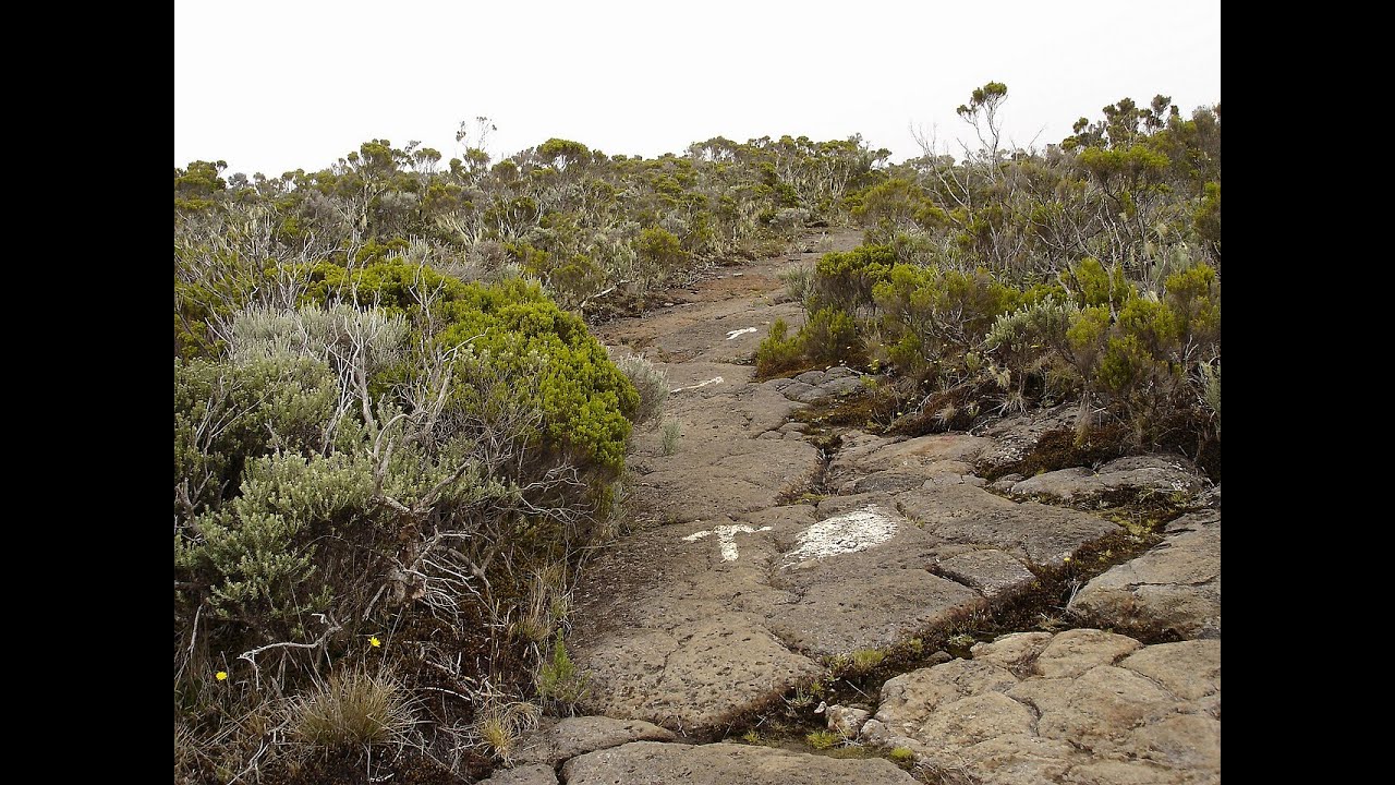 LABOSVT 2 CANONS - Sortie Roche Ecrite Mai 2025
