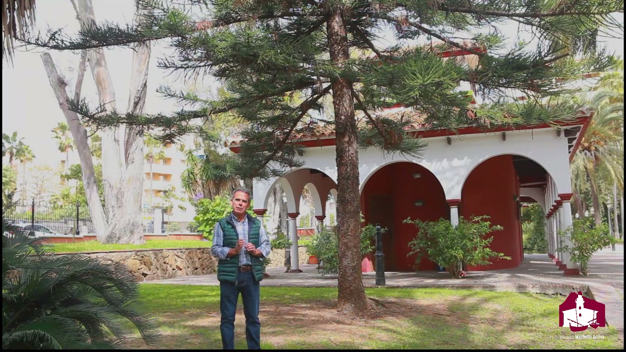 Senda por la biodiversidad. El Pino de Norfolk por Manuel Zafra