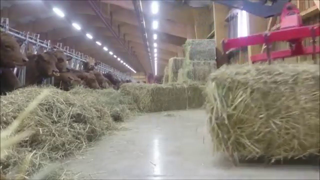 Transport de bottes de foins avec griffes STEPA