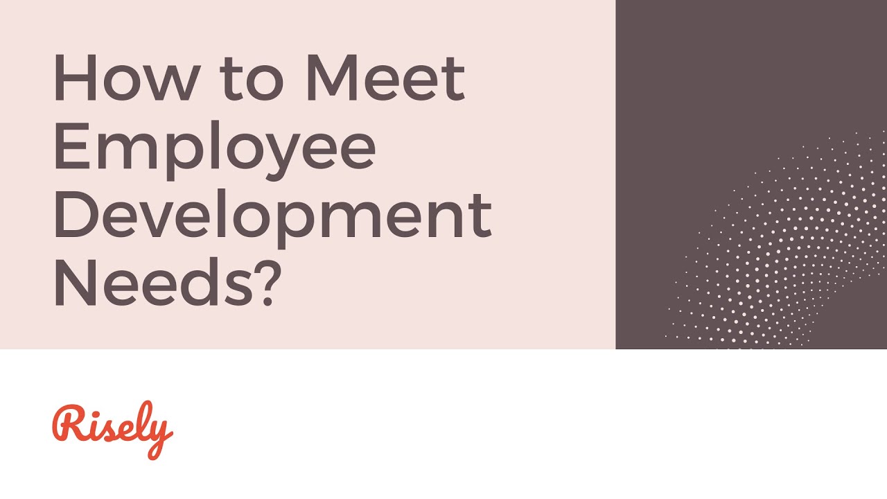 How to Meet Employee Development Needs? | Risely