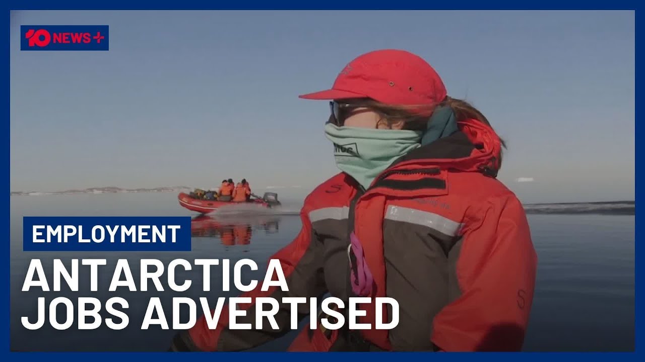 Jobs In Antarctica Available For Aussies Who Are Willing To Face Extreme Climate | 10 News+