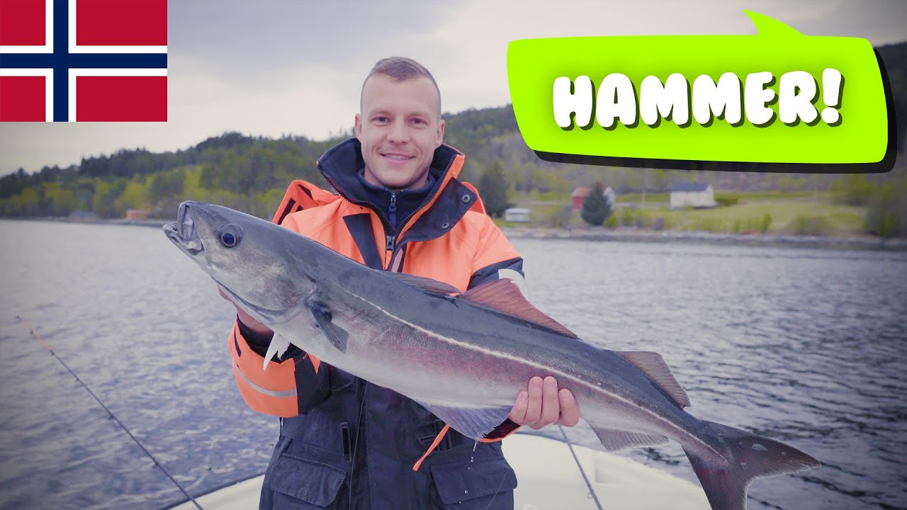 Zwei Tage angeln auf dem Stangvikfjord in Norwegen
