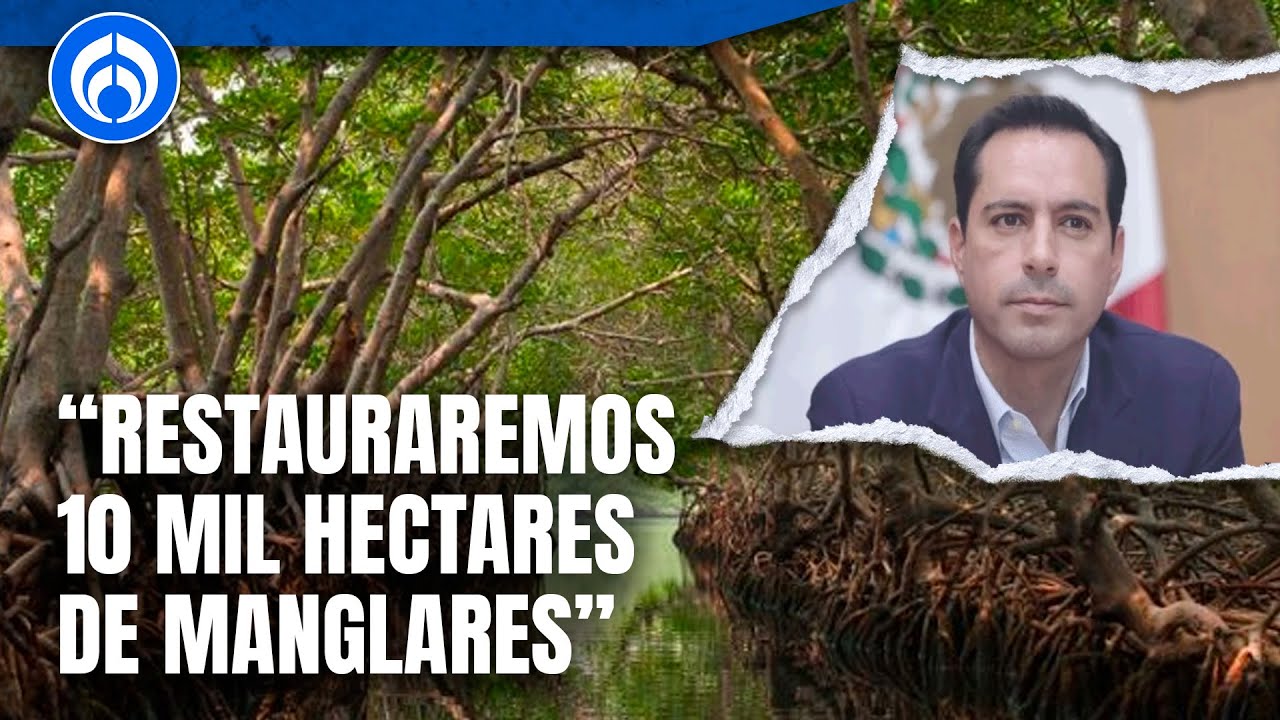Mauricio Vila reafirmó el compromiso de Yucatán de conservar manglares
