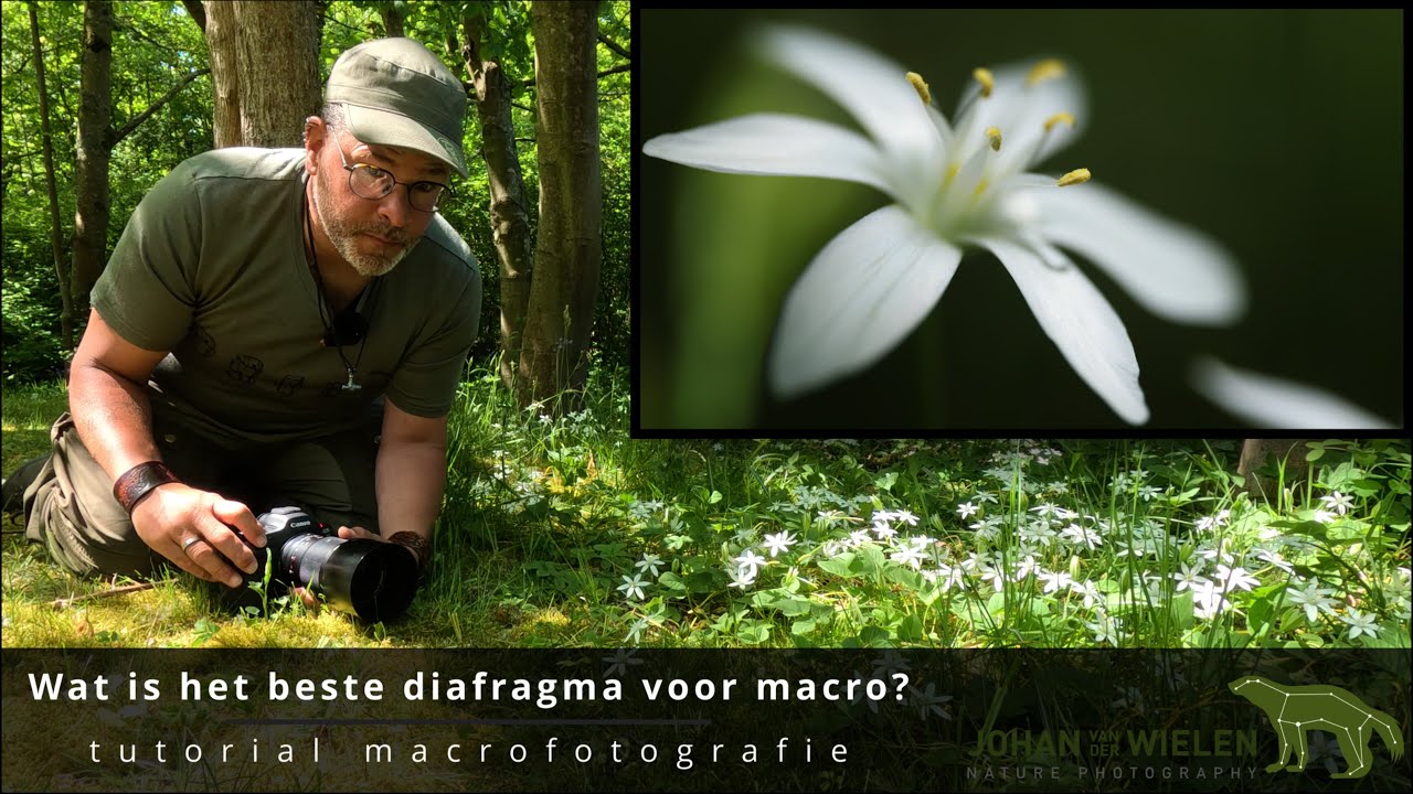 ~ Wat is het beste diafragma voor macrofotografie? ~ Tutorial macro- / detailfotografie