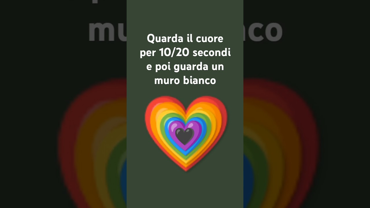 11 maggio 2024