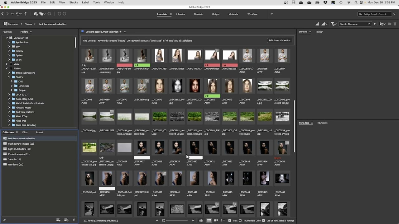 Adobe Bridge collections