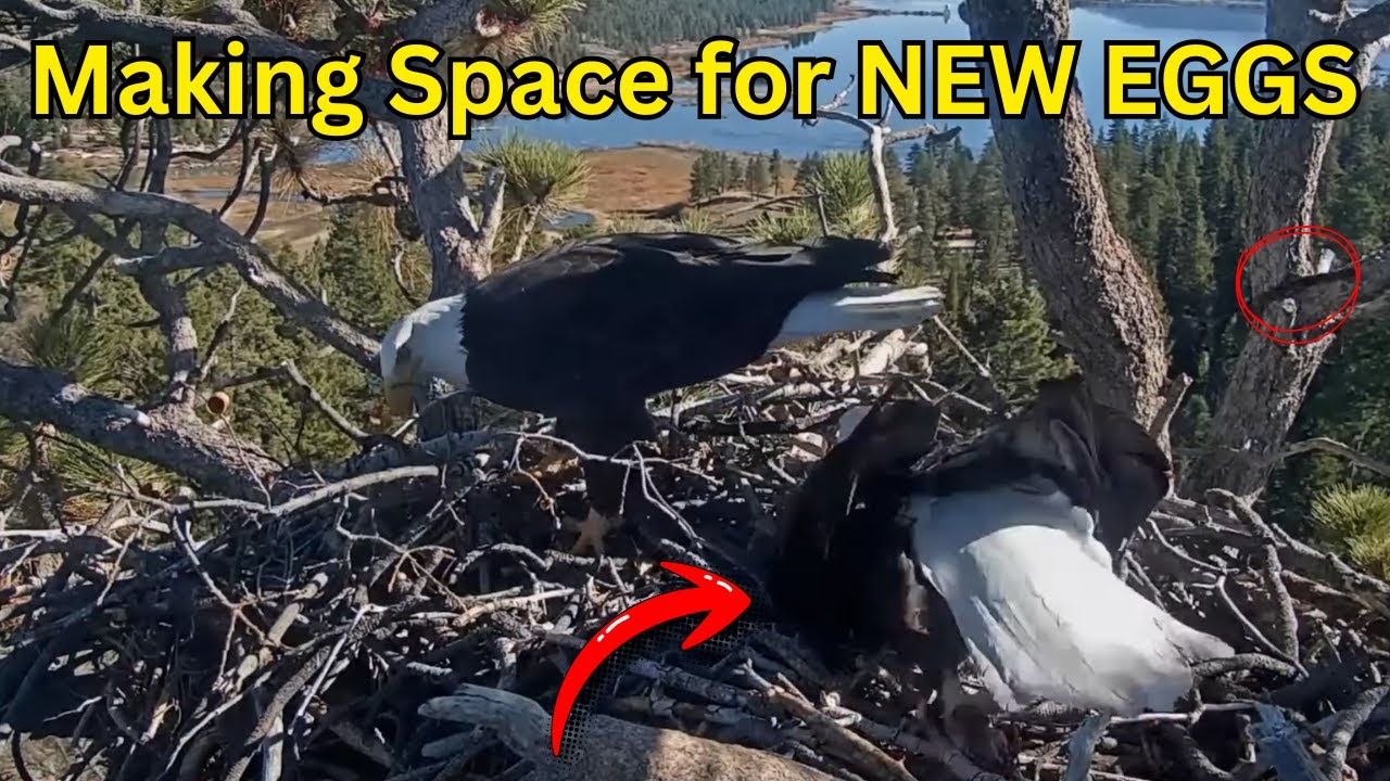 Идеальная палочка, разногласия и первый блин сезона!