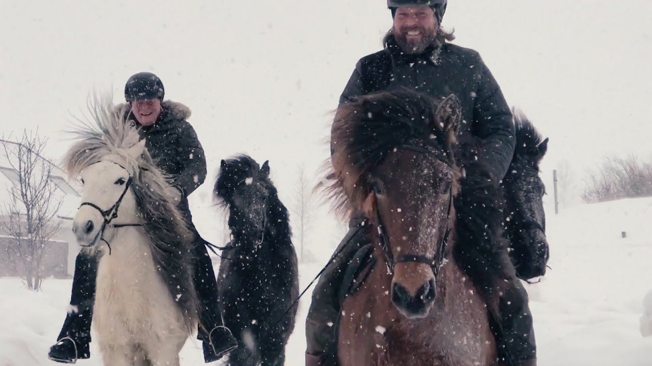 Coronavirus? Our horses don't care... They enjoy the real Iceland! by Mr Iceland