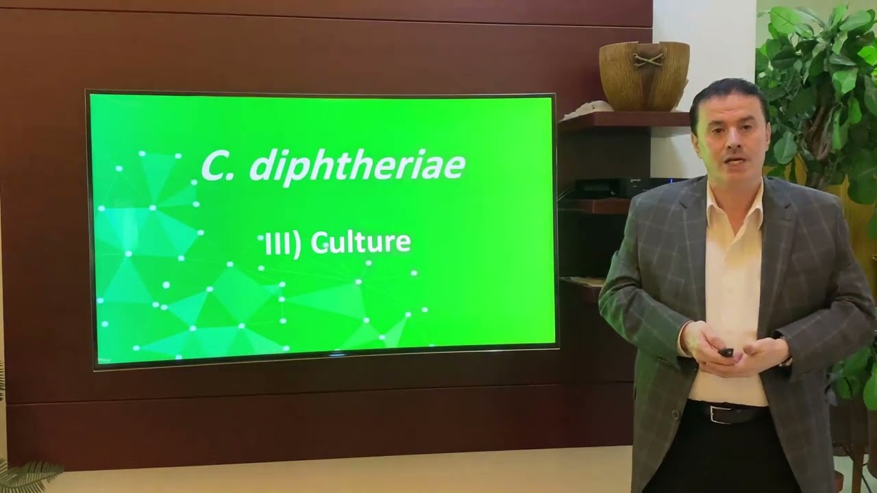 12 (2-6) Corynebacterium diphtheriae Morphology and Culture