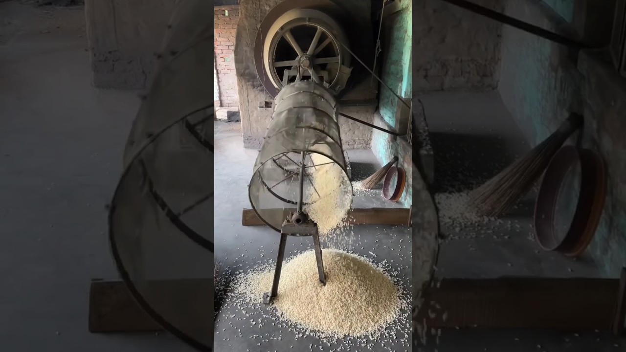 Amazing Puffed Rice Making in Factory #shorts #youtubeshorts #youtubeshortsvideo