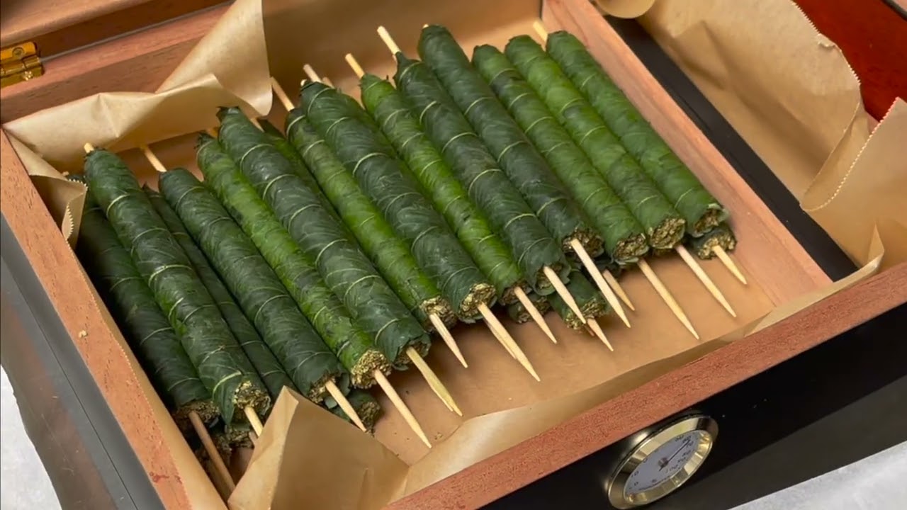 E4P Cannabis Cigars - Short Clip