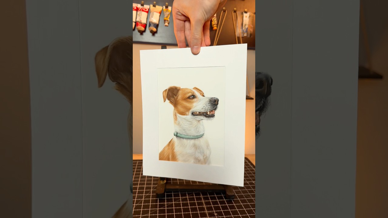 Commissioned pet portrait of a Jack Russel, drawn with soft pastels on pastelmat 
