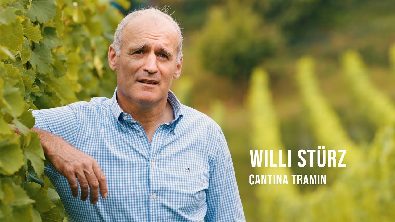 Pioneers of Alto Adige Wines - Willi Stürz Cantina Tramin