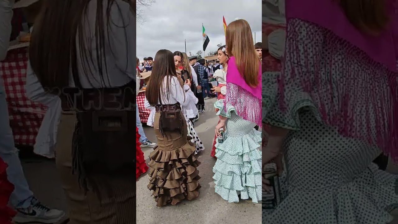 La Pedida de la Patatera' en Malpartida de Cáceres #extremadura