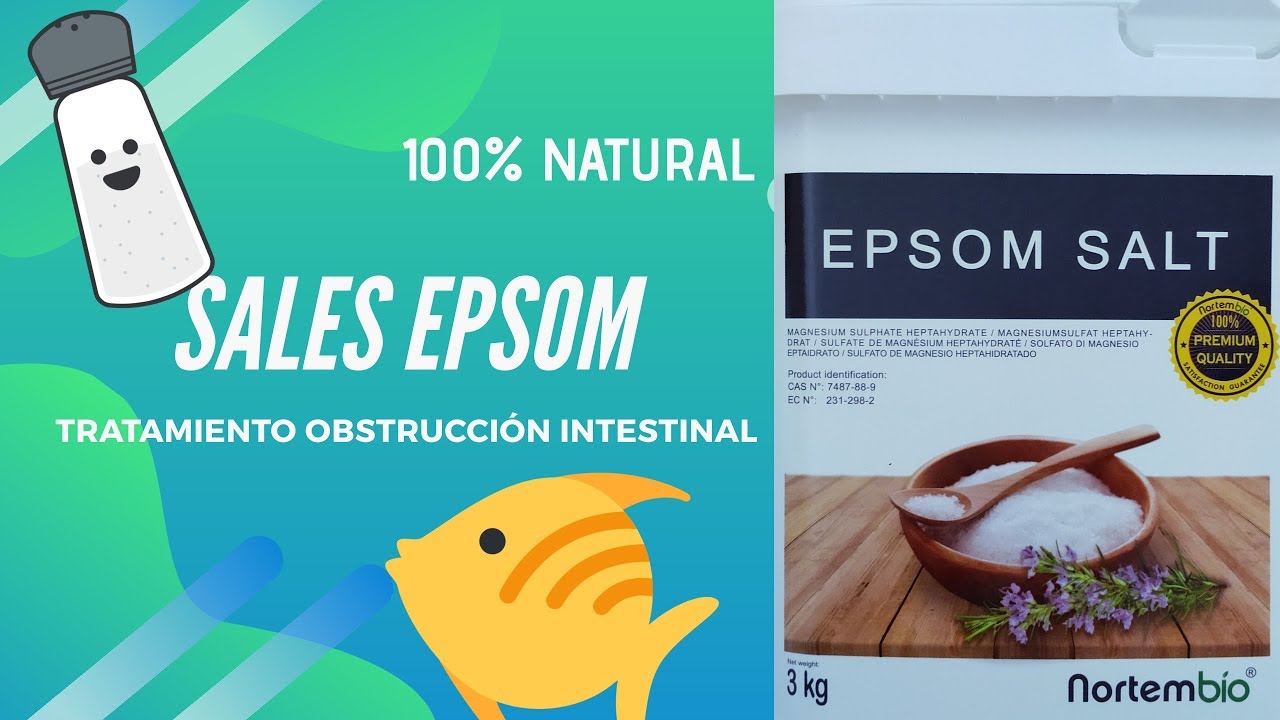 TRATAMIENTO OBSTRUCCION INTESTINAL PECES - ACUARIOFILIA JEREZ