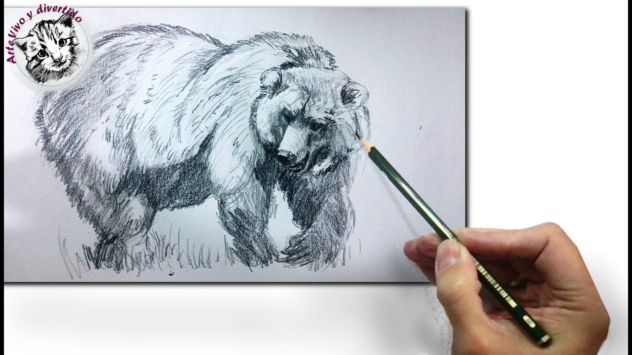 Como Dibujar un Oso Realista a Lapiz, tecnicas de dibujo paso a Paso,