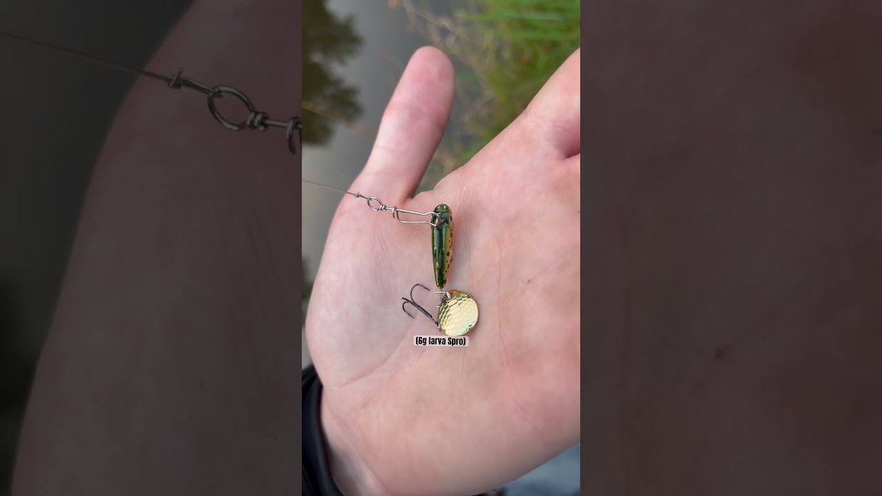 temu scar fishing rod -&euro;12#temu #fishing #bass #scar #noads