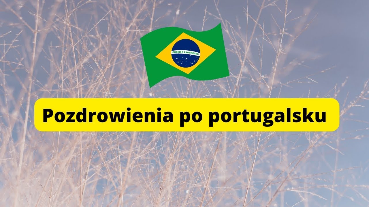 Pozdrowienia po portugalsku - Brazylijski portugalski (odc. 1) #językpolski #brazilianportuguese