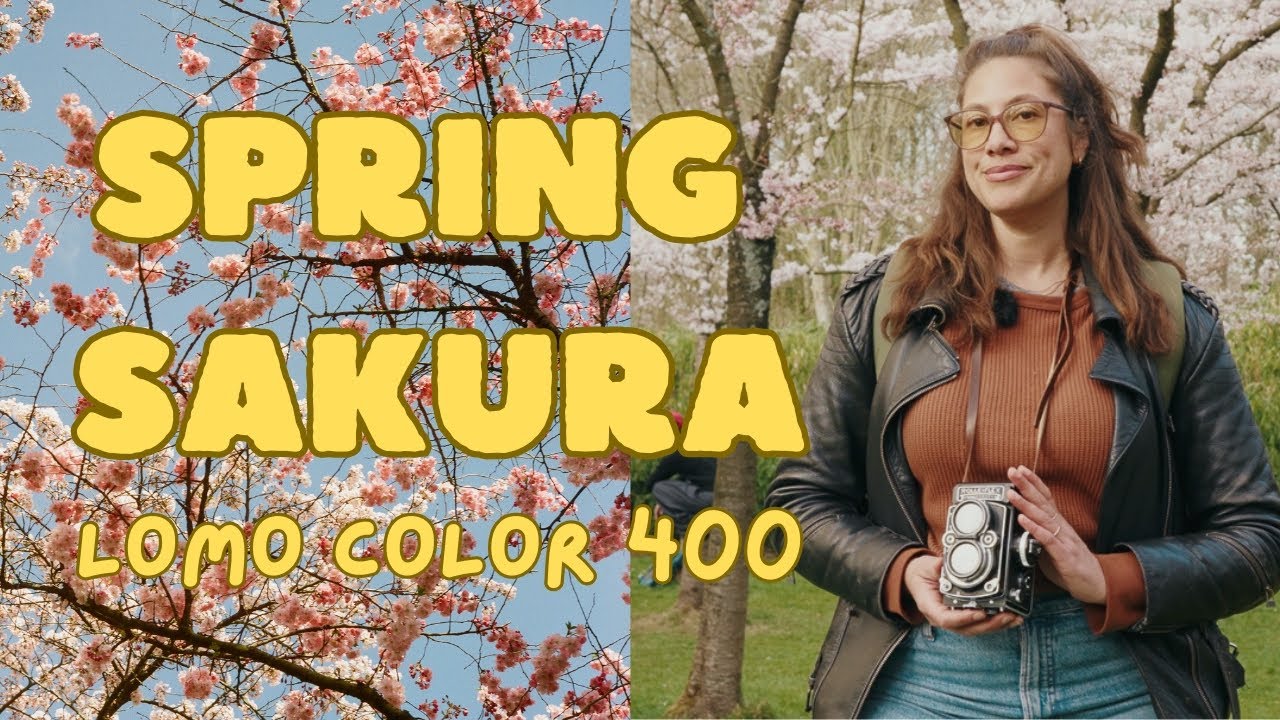 Spring Sakura Cinematic Photowalk in Amsterdam | Rolleiflex + Lomo 400 Film
