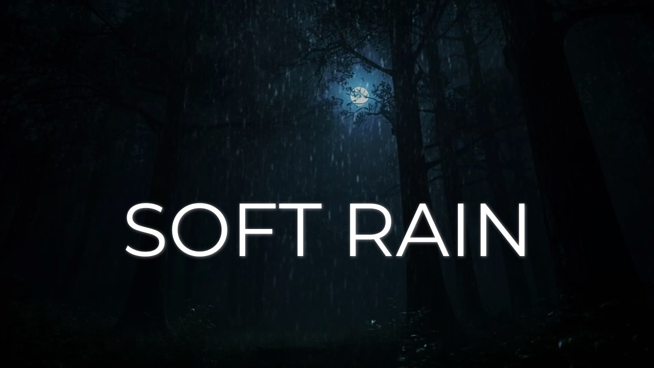 Gentle Rain and Wind Through Trees (8 Hours) | Sleep & Relax