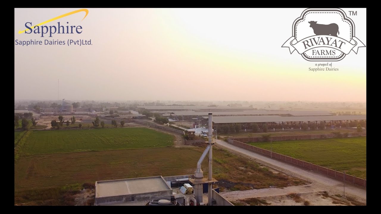 Corporate Video - Sapphire Dairies