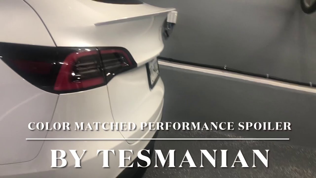 Color Matched TESMANIAN Spoiler for the Model Y