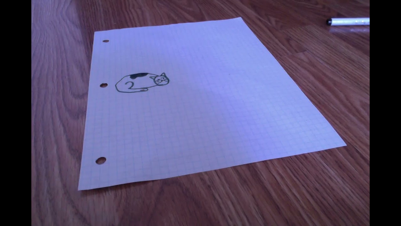 comment faire un chat