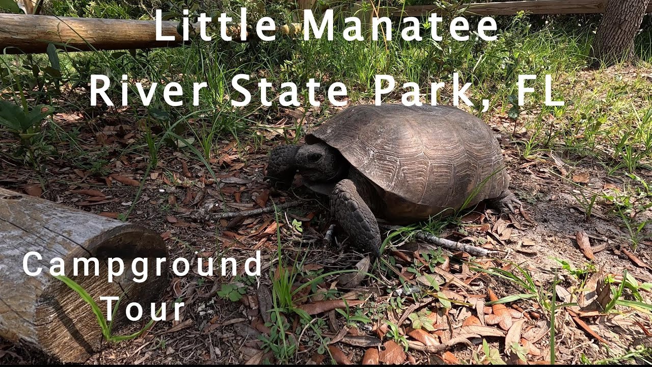 Little Manatee State Park, FL - BEST Site by Site Walk Thru Campground Tour of ALL Sites!!